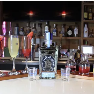 Tequila is everyone's best friend!