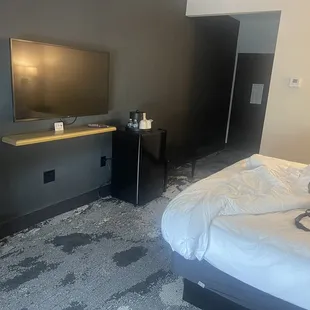 Bed, tv, mini refrigerator and small bench.