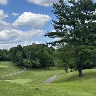 View from hole 12