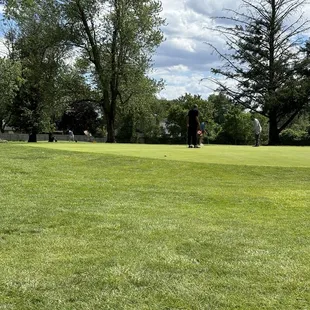 Driving range/chipping green area