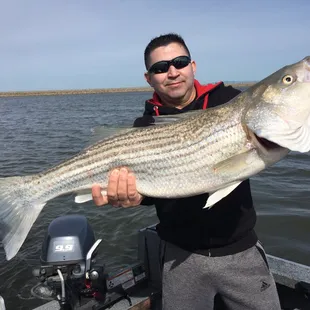 Delta striper fishing