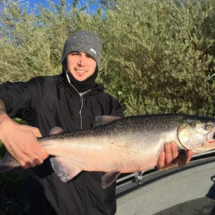Sacramento River salmon fishing