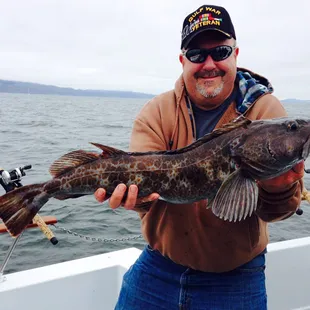San Francisco Bay lingcod fishing