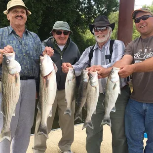 Delta striper fishing