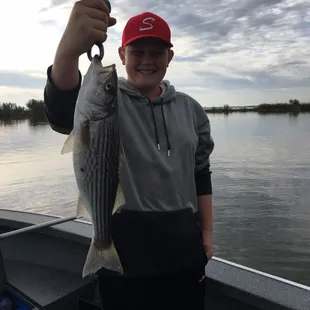 Delta striper fishing
