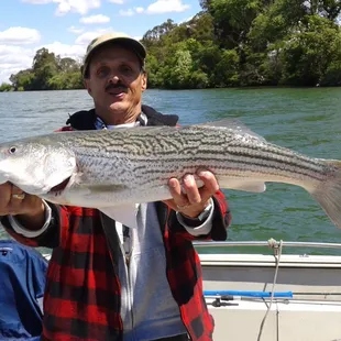 Delta striper fishing
