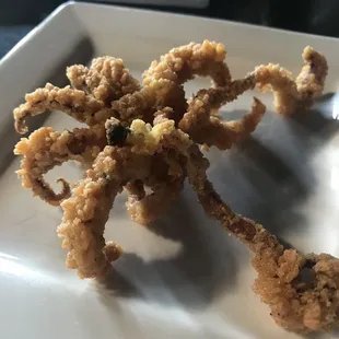 A giant calamari