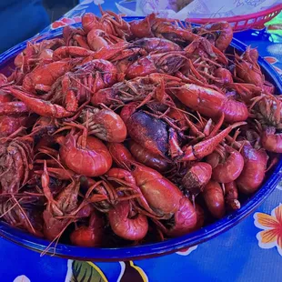 4lbs of crawfish
