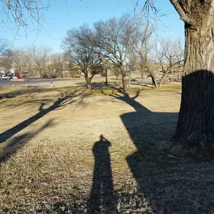 View from the back of the spot.