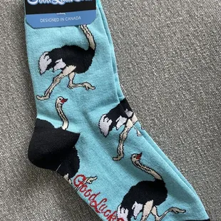 Dr Chandler had an Ostrich farm, the museum is free so I bought this as a memento (85% cotton).