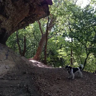 Some of the rock formations