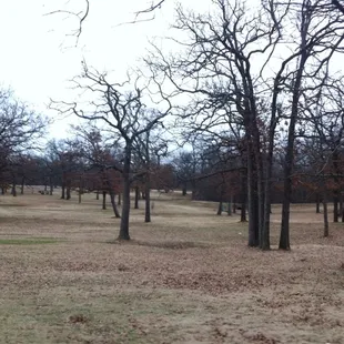 A lot of the park looks like this