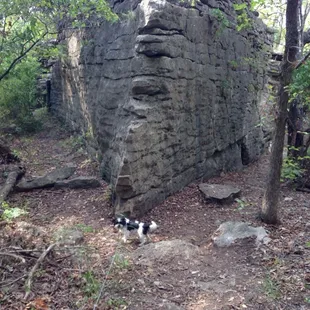 Trails through rock formations