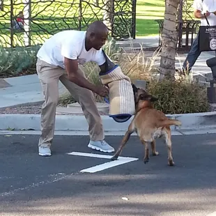 Not sure what this group was called.  I was walking buy and snapped this pic of the dog attacking that man.