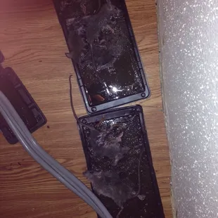 Here are four of my new friends! Courtesy of Chandlers mills!