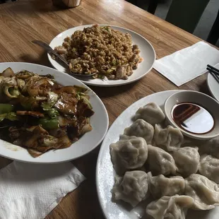 Pork, shrimp, chive dumplings (6/5) - would recommend! :)