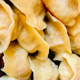 Pan Fried Dumplings