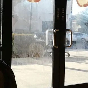 Really  dirty windows