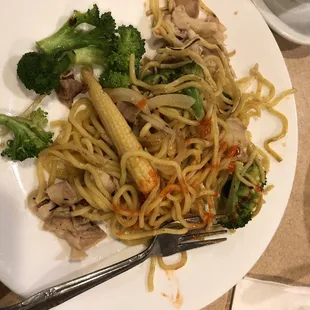 Chicken noodley goodness