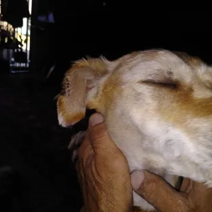 This is the hunk out of her ear