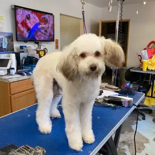 After. Like my new do