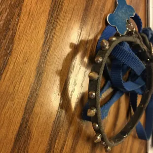 When you walk in just imagine leaving With a collar and leash and no fur baby.