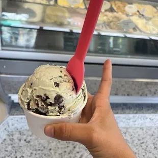 This is a kids scoop of Mint Chocolate Chip.