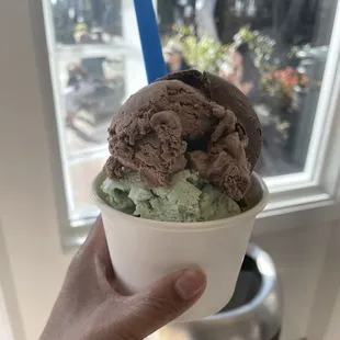 Majestic Chocolate and Mint Chocolate Chip