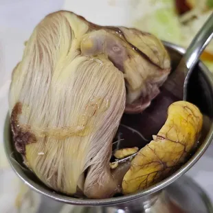 Balut
