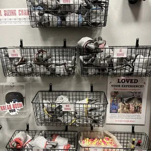 PPE- gloves and ear plugs