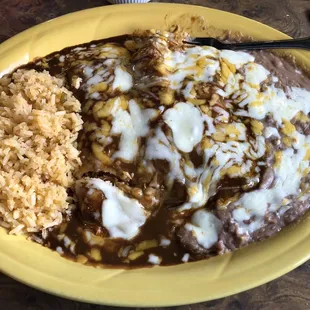 Chicken enchiladas with mole sauce