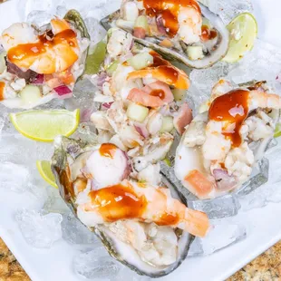 a plate of oysters