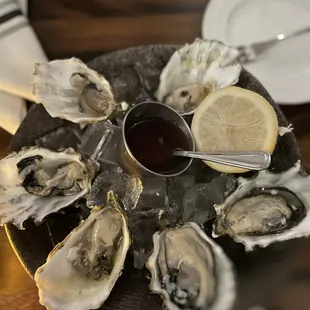 oysters