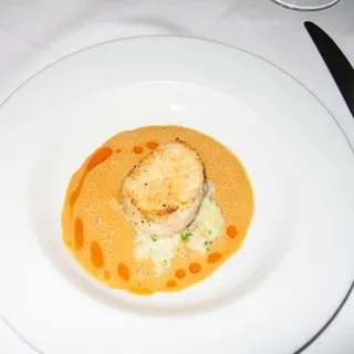 Scallop