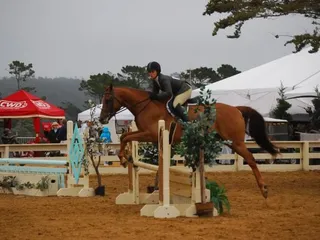 Folly Farms