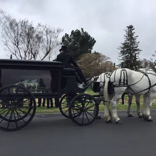 We offer a beautiful Horse Drawn Funeral Hearse to add that special touch of elegance for a funeral.