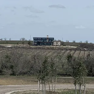 a view of a vineyard