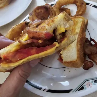 Fresh tasteful tomatoes!