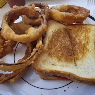 Homemade onion rings