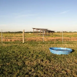 A favorite spot for the dogs on a hot day!