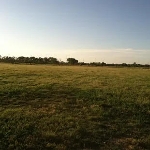 Lots of space to run and play...