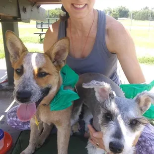 Why can't humans have shade too?