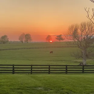 Sunset at Chaplin Hill
