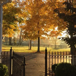 Autumn at C.H. B&amp;B