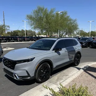 Chapman Honda