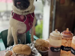 Andy Nelson's Southern Pit Barbecue