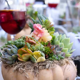 Succulent workshop &amp; sangria