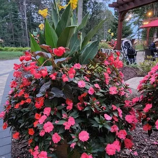 Grand View Lodge outside blossoms.