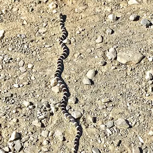 @ Charcoal Kilns (wildrose) - 6/28/19