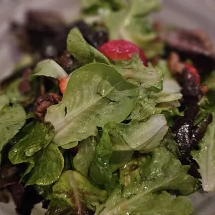 salads, salad, food